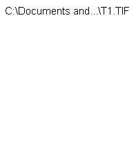 wpfc04c367.png